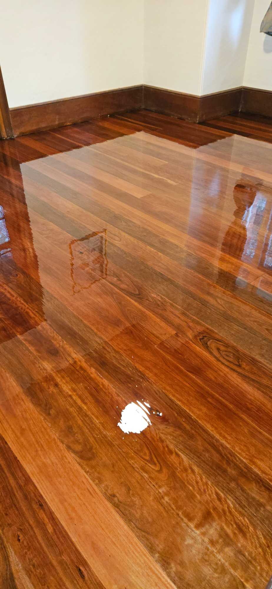 Floor Sander