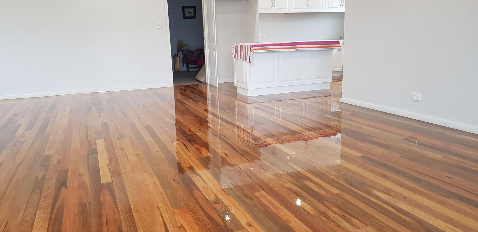 Floor Sander